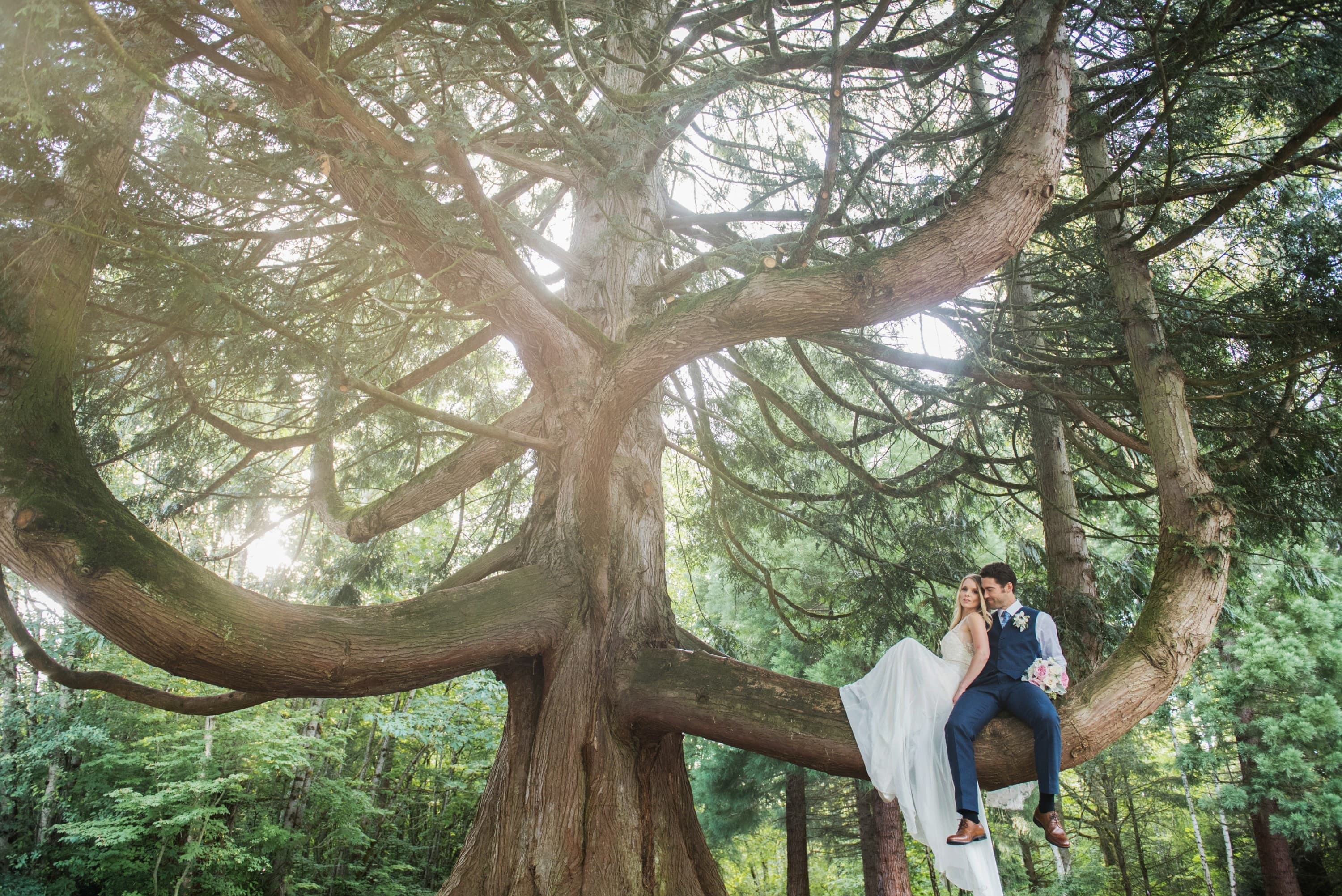 Ashley Martens Photography - wedding photography in Abbotsford, BC