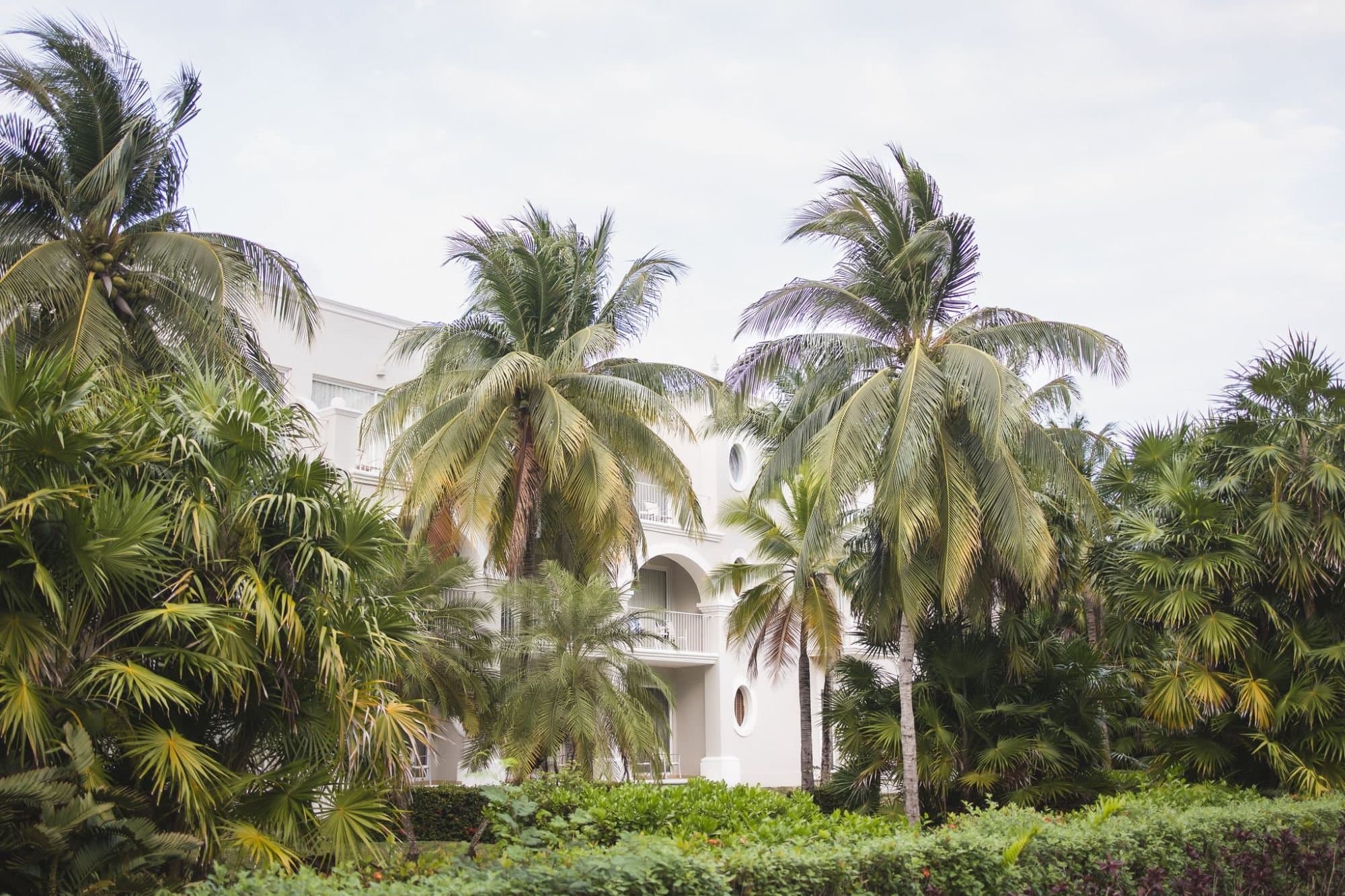 Destination Wedding ( 8 Hours + 1 Photographer)