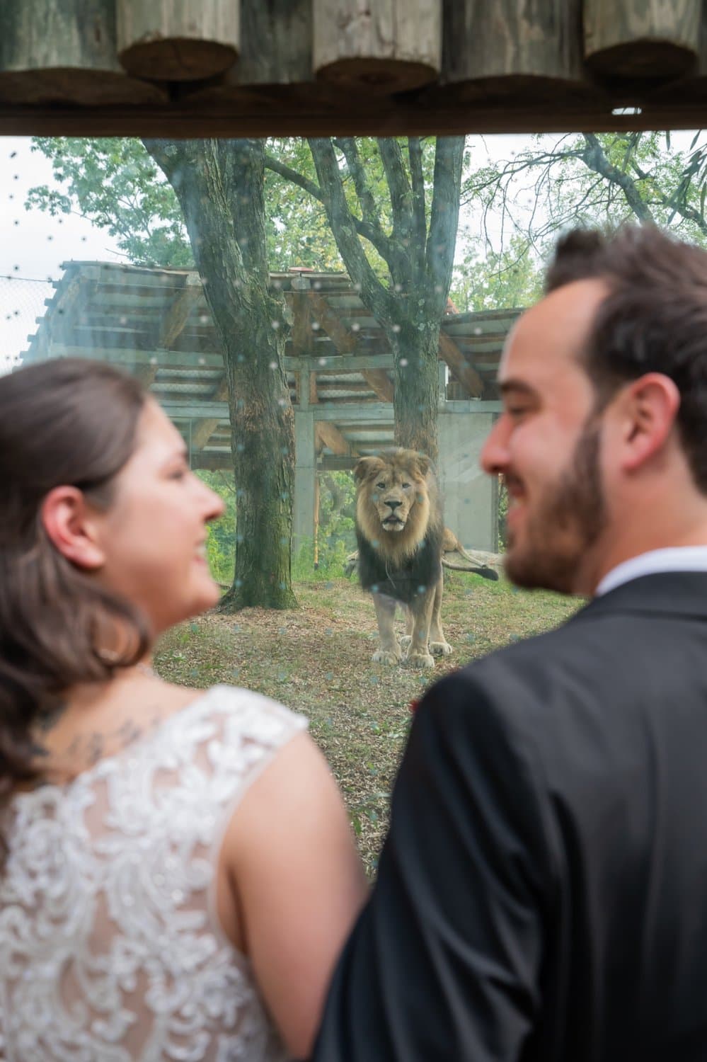 Wedding - Tori Trzaska