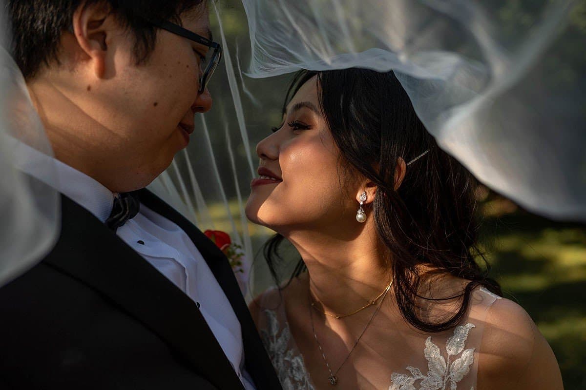 Wedding - Lily G