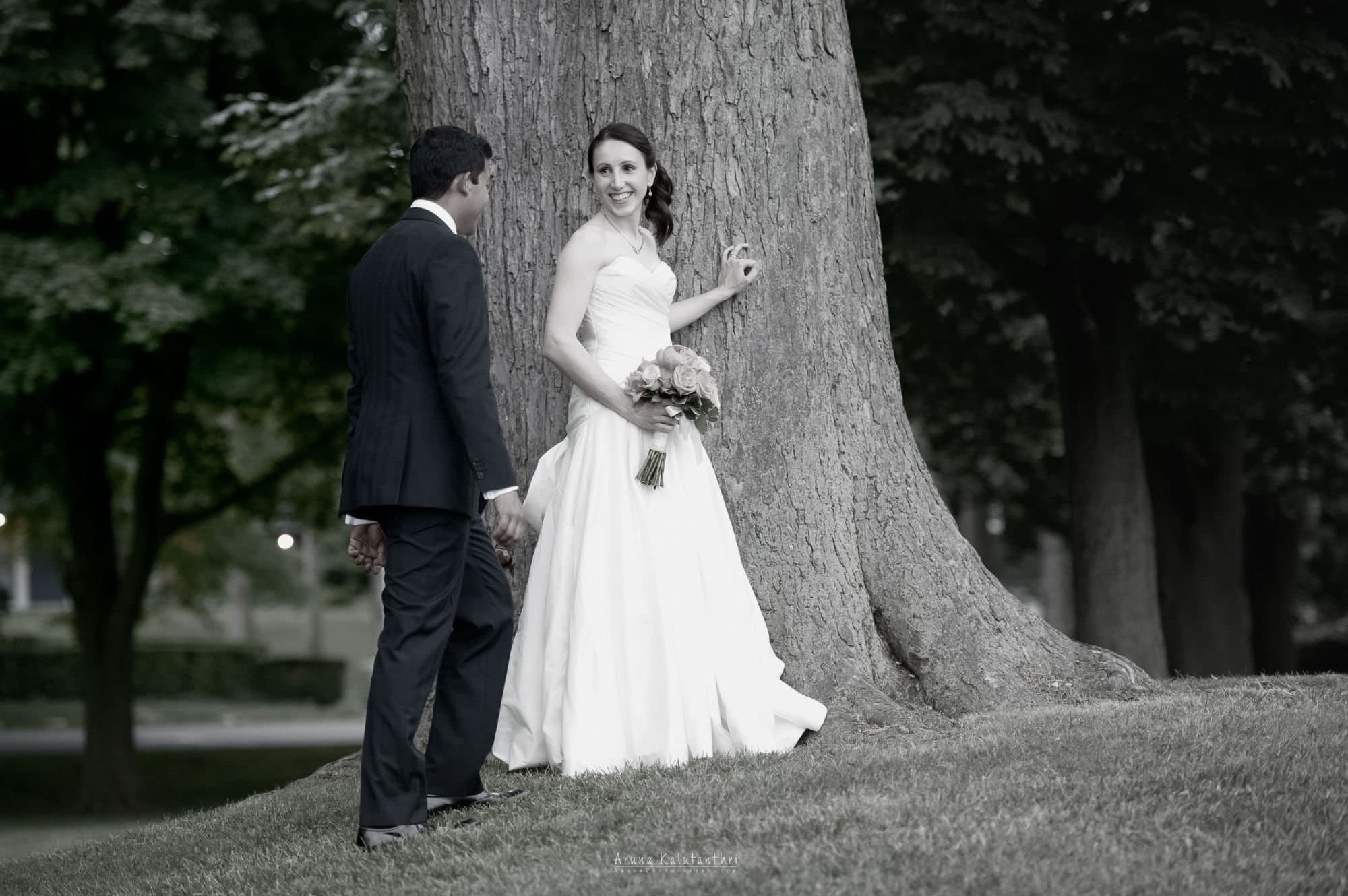 Wedding Photography (4 Hours)