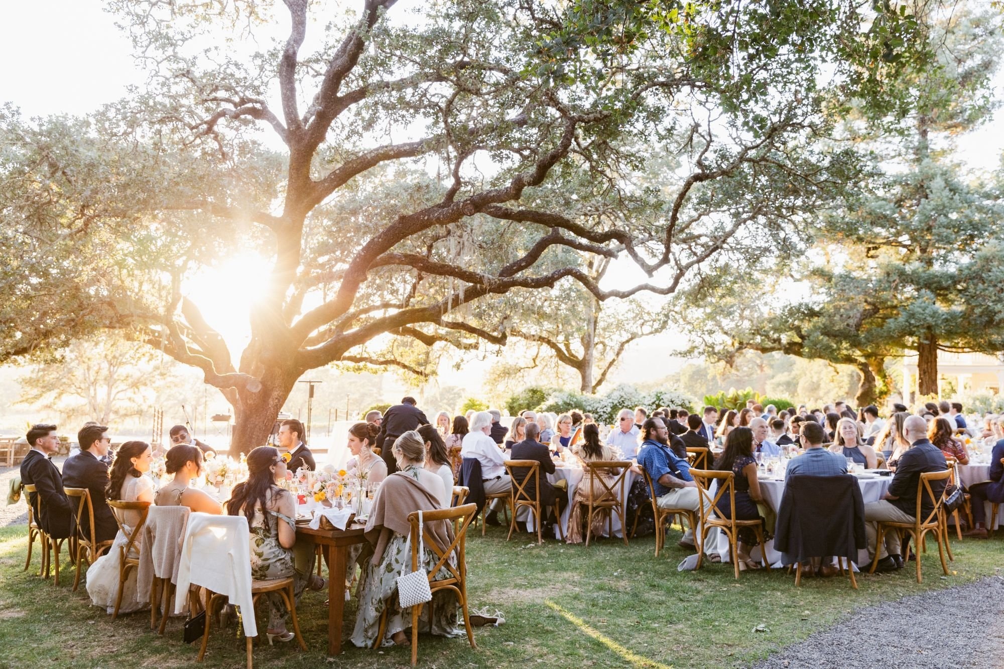 Rochelle Wilhelms Photography wedding photograph - photo 1