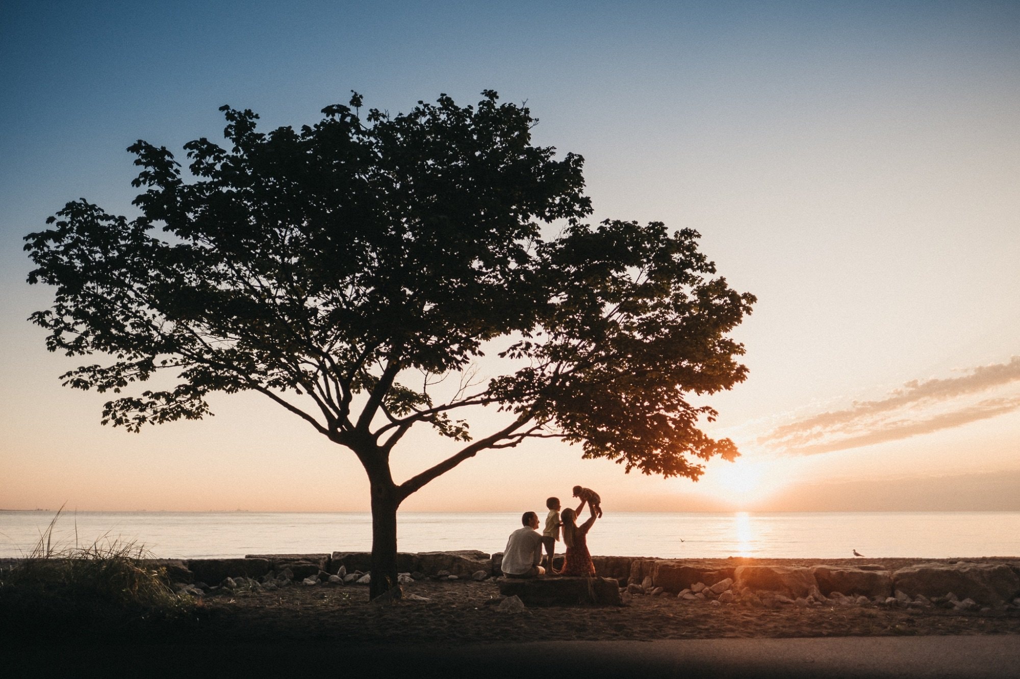 Adam Grant Photography wedding photograph - photo 2