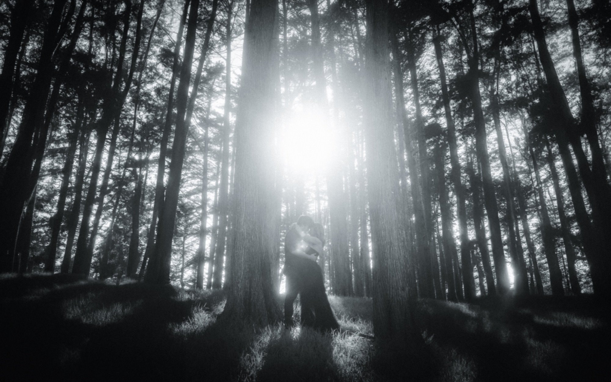 Shane O'Neill Wedding Photography wedding photograph - photo 8