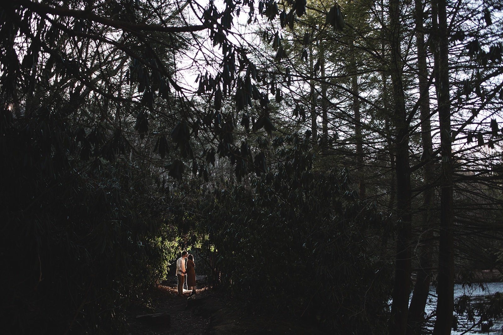 Indie Elephant wedding photograph - photo 11