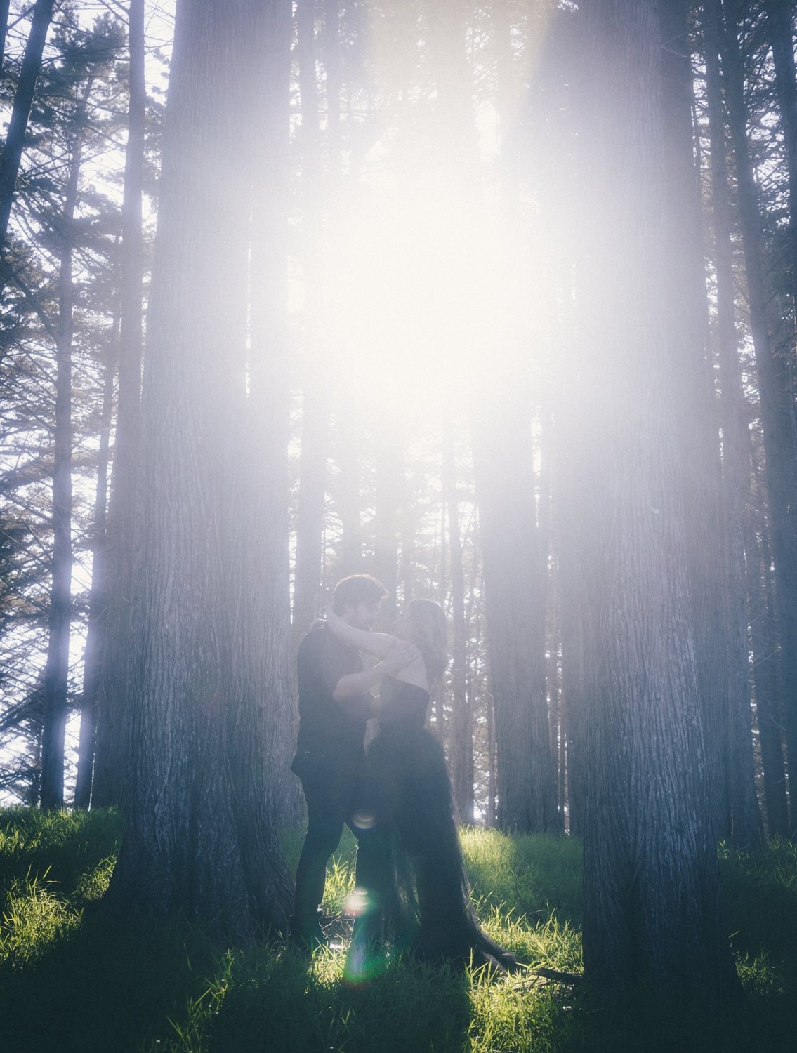 Shane O'Neill Wedding Photography wedding photograph - photo 7