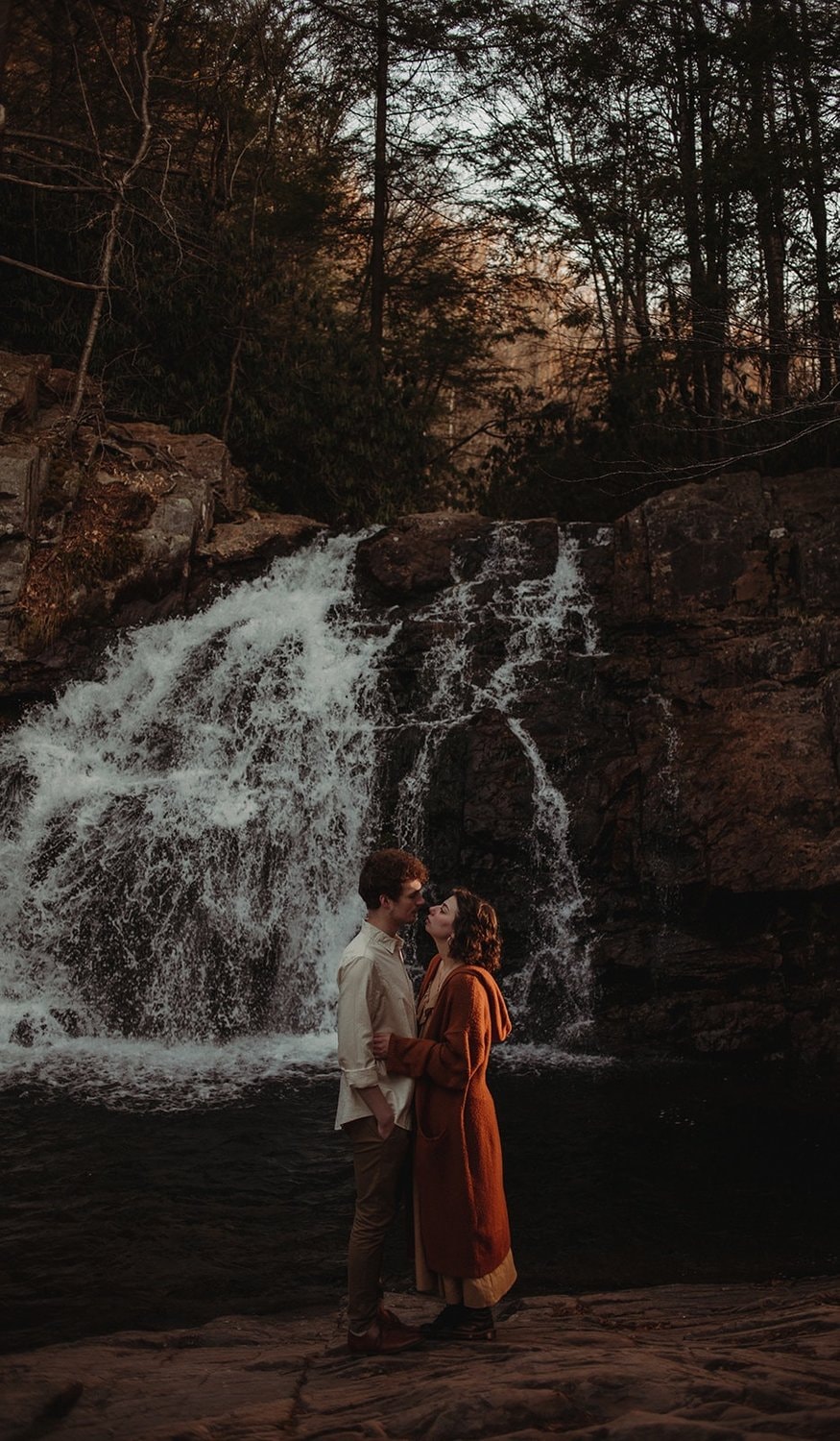 Indie Elephant wedding photograph - photo 2