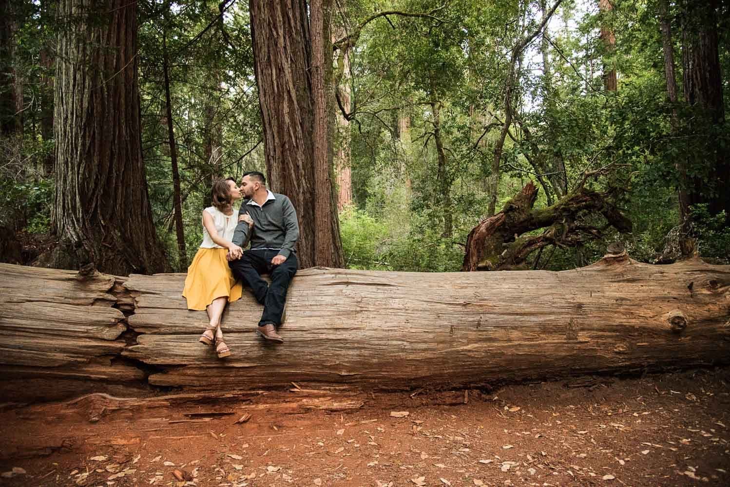 San Francisco Bay Area Engagement Session
