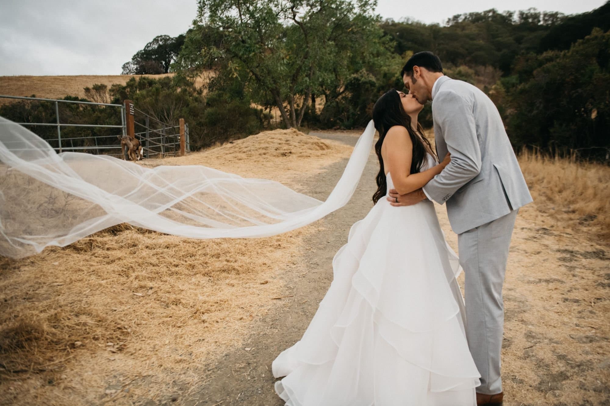 Micro Wedding Photography Collection (4 Hours & 1 Photographer)