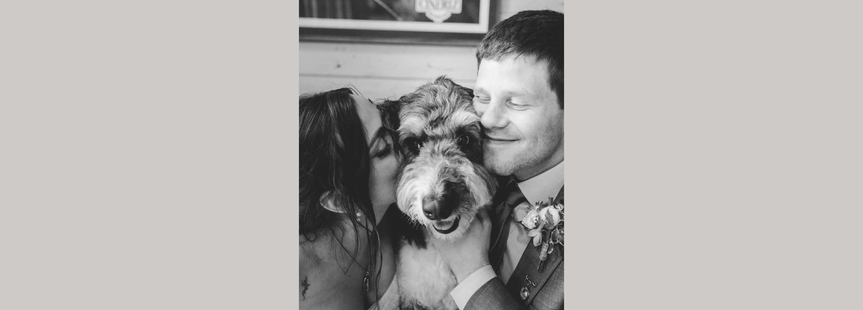Wedding - Nicole & Ryan (Testimonial on The Knot)