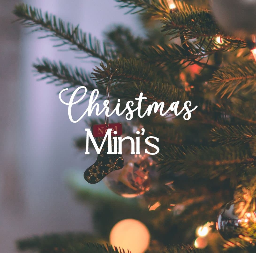 Christmas Mini Sessions | In- Studio & OutDoor